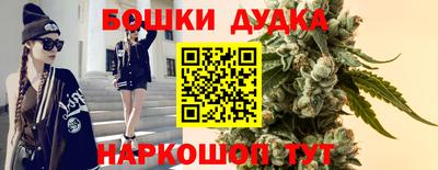 spice Аргун