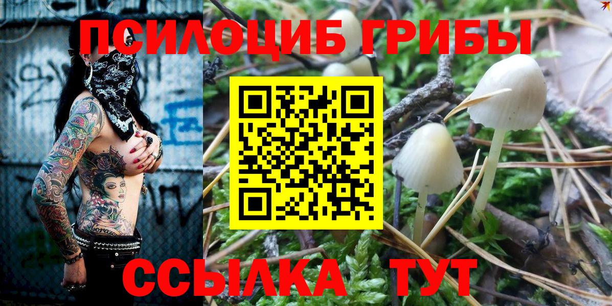 Псилоцибиновые грибы Magic Shrooms Волгодонск