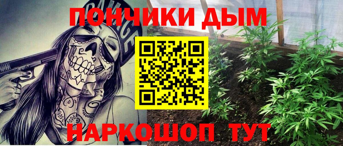 Шишки марихуана OG Kush Волгодонск